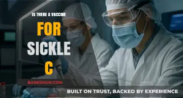 Exploring the Possibility of a Sickle Cell Disease Vaccine