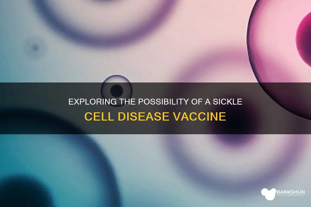 is there a vaccine for sickle c