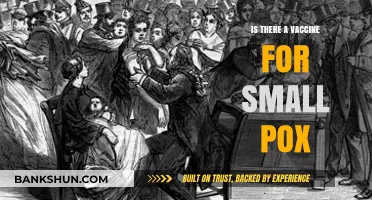 Smallpox Vaccine: History, Eradication, and Current Relevance Explained