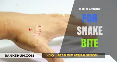 Snake Bite Vaccines: Current Research and Future Possibilities Explored