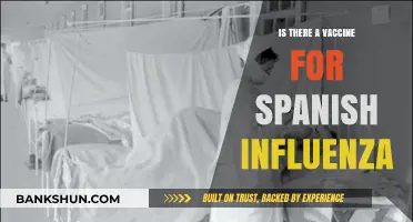 Spanish Flu Vaccine: Historical Facts and Modern Misconceptions Explained