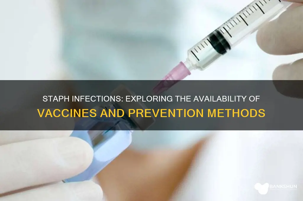 is there a vaccine for staph infection