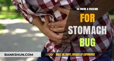Stomach Bug Vaccine: Fact or Fiction? What You Need to Know