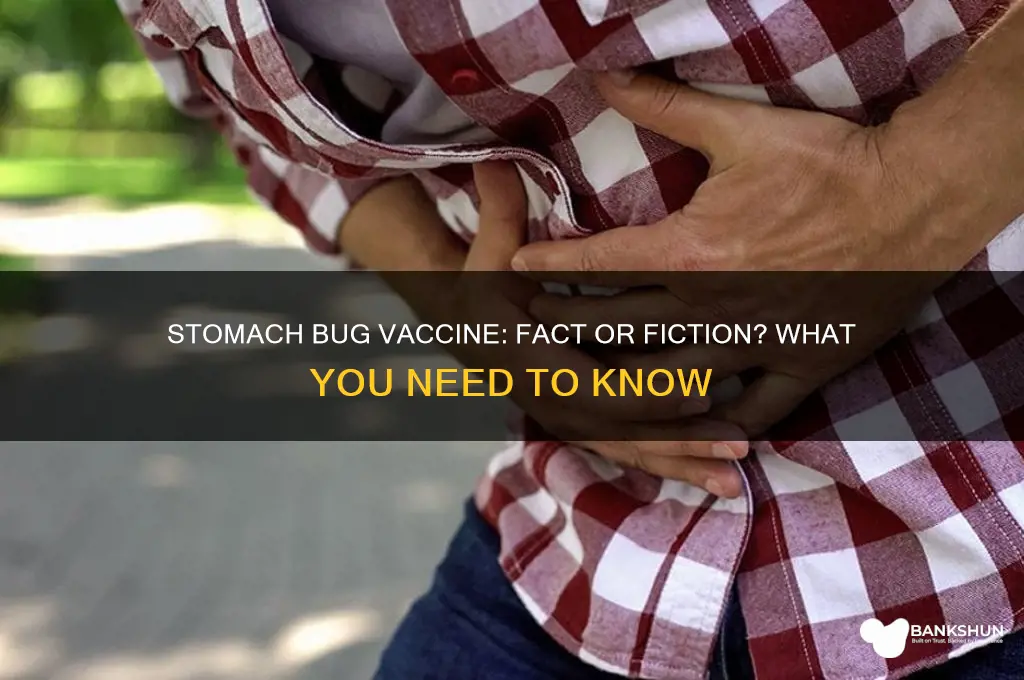 is there a vaccine for stomach bug