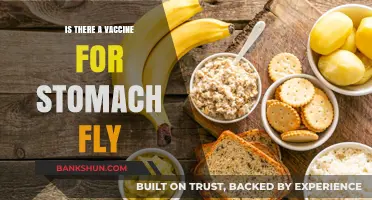 Stomach Flu Vaccine: Fact or Fiction? Exploring Prevention Options