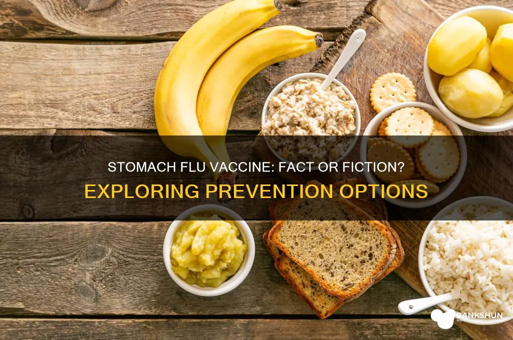 is there a vaccine for stomach fly