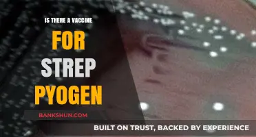 Strep Pyogenes Vaccine: Current Status and Future Prospects Explained