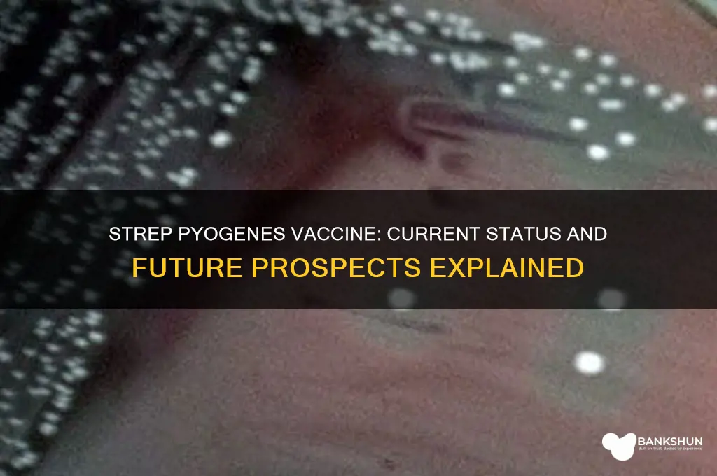 is there a vaccine for strep pyogen