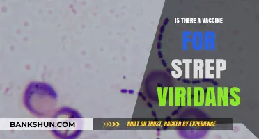Exploring the Existence of a Vaccine for Strep Viridans: Facts and Insights