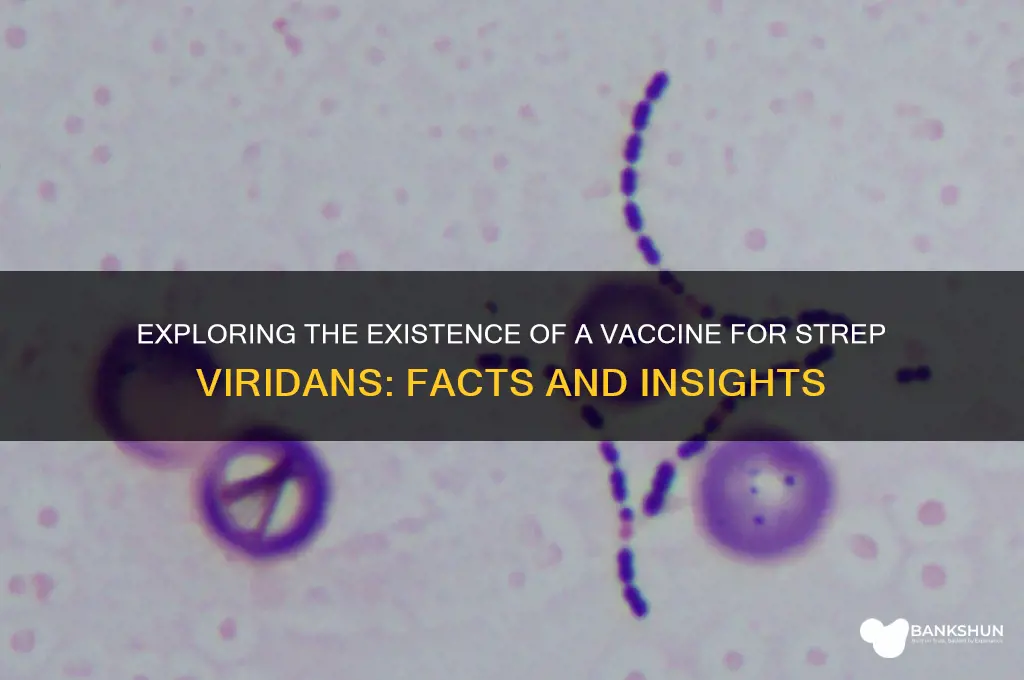 is there a vaccine for strep viridans