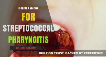 Streptococcal Pharyngitis Vaccine: Current Status and Prevention Strategies