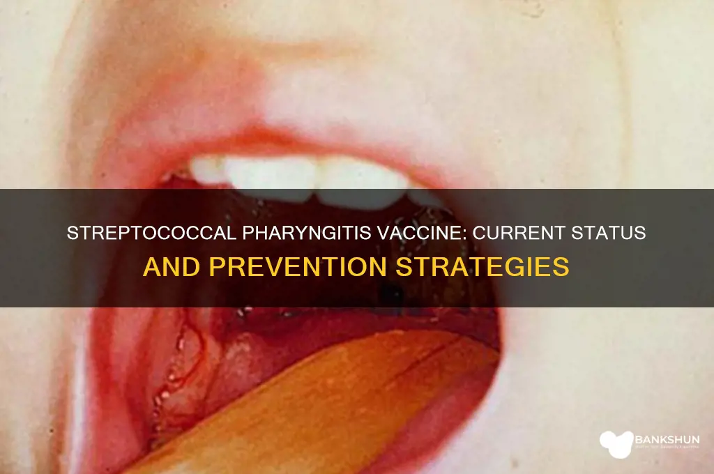 is there a vaccine for streptococcal pharyngitis