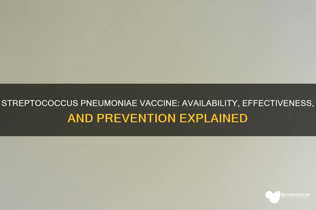 is there a vaccine for streptococcus pneumoniae