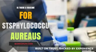 Exploring the Possibility of a Staphylococcus Aureus Vaccine