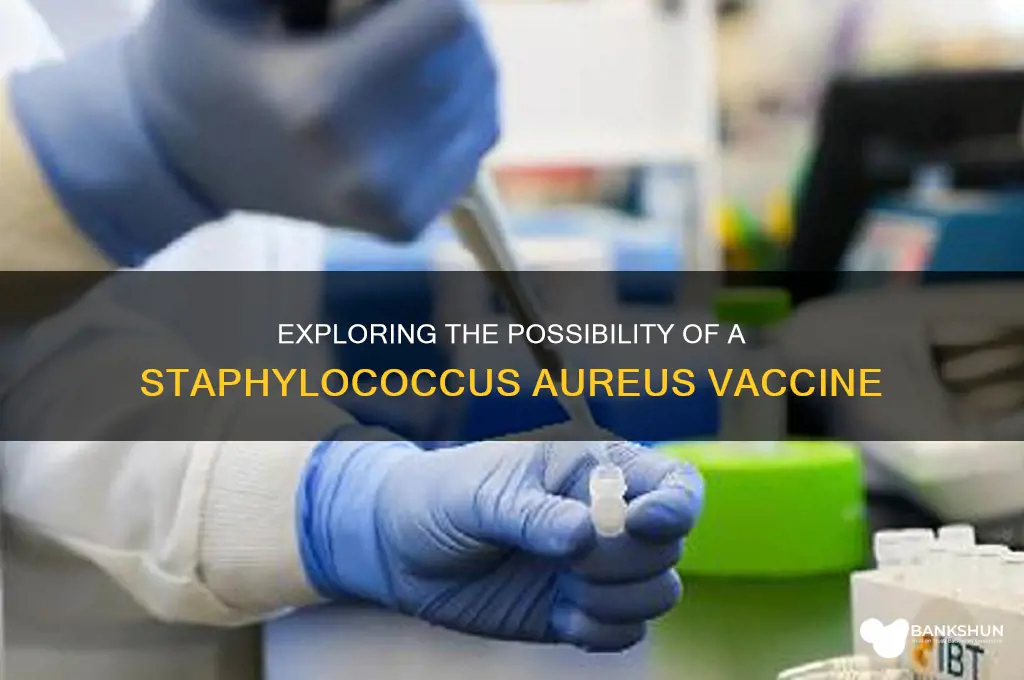 is there a vaccine for stsphylococcus aureaus