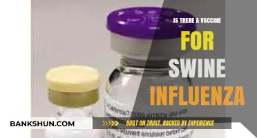 Swine Influenza Vaccine: Availability, Effectiveness, and Prevention Strategies