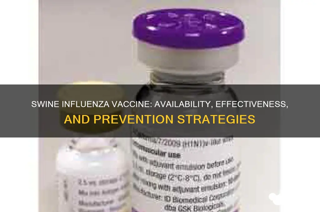 is there a vaccine for swine influenza