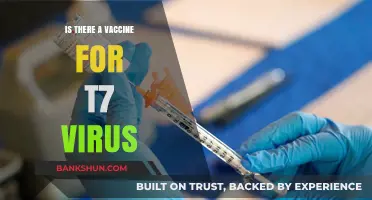 Exploring the Existence of a T7 Virus Vaccine: Facts and Updates