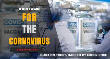 Is There a Coronavirus Vaccine? Facts, Updates, and What You Need to Know