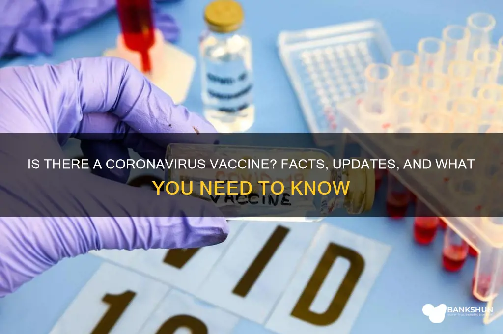 is there a vaccine for the cornavirus