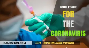 Is There a Coronavirus Vaccine? Latest Updates and Facts
