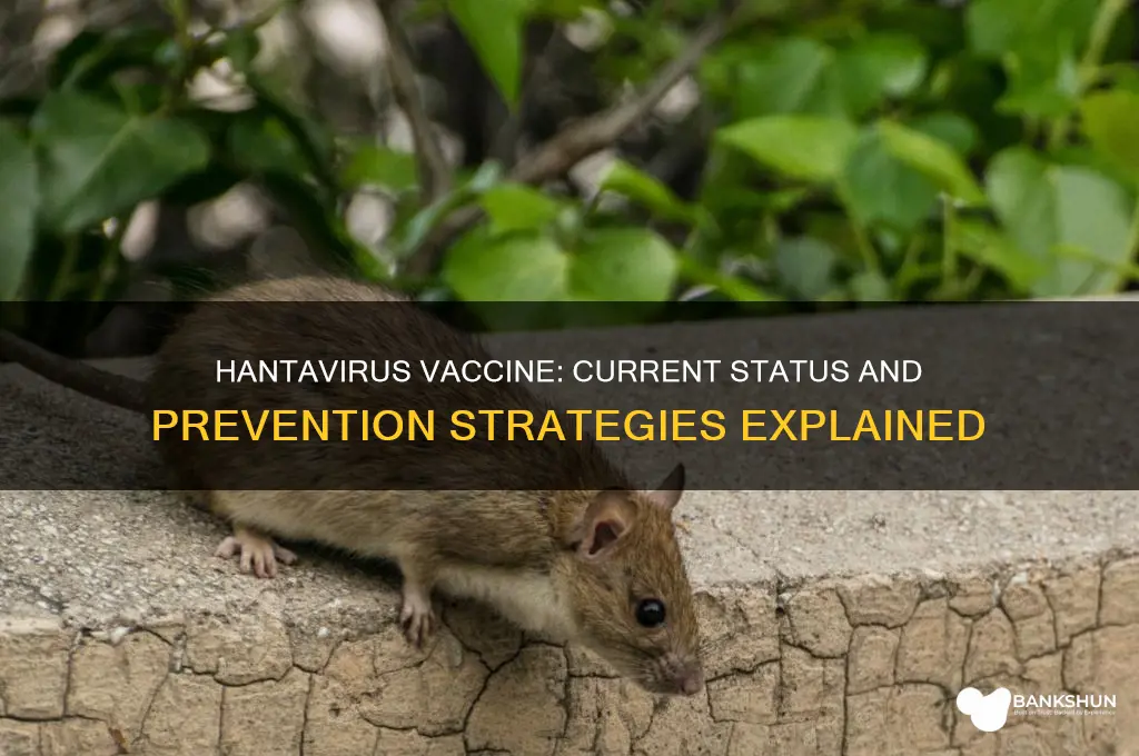 is there a vaccine for the hantavirus