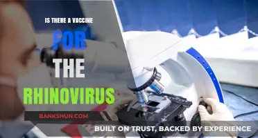 Rhinovirus Vaccine: Current Research and Future Possibilities Explained