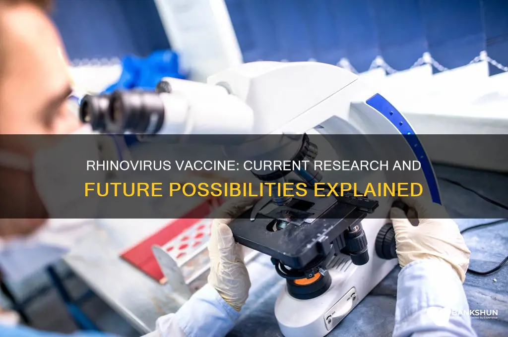 is there a vaccine for the rhinovirus
