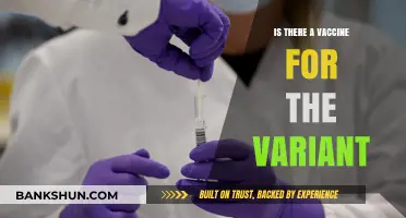 Vaccine Updates: Are We Protected Against the New Variant?