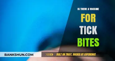 Tick Bite Vaccines: Are They Available and How Effective Are They?
