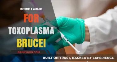 Exploring the Possibility of a Toxoplasma Brucei Vaccine: Current Research