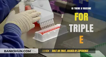 Exploring the Existence of a Triple E Vaccine: Facts and Updates