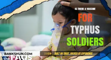 Typhus Soldiers: Vaccine Availability and Prevention Strategies Explained