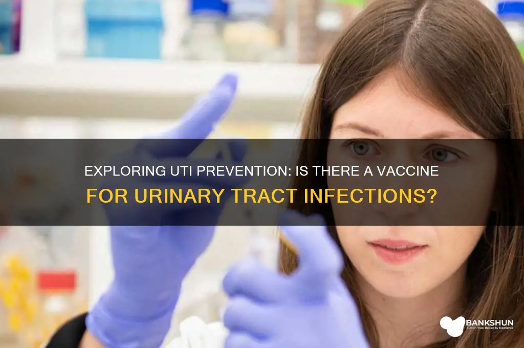 is there a vaccine for uti infections