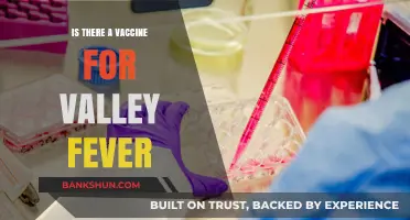 Exploring Valley Fever: Vaccine Availability and Prevention Strategies