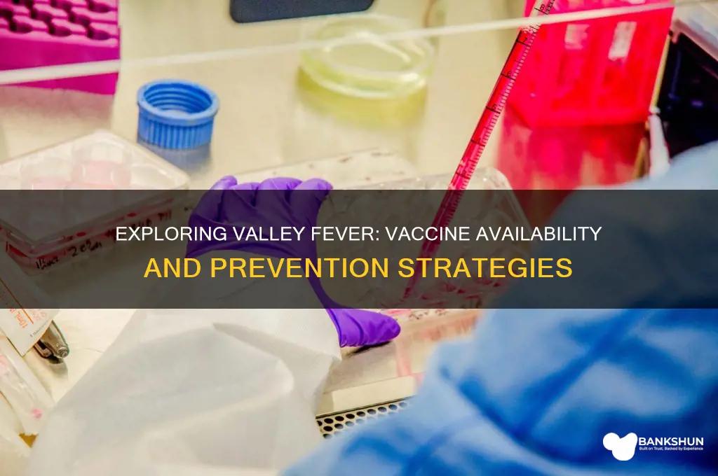 is there a vaccine for valley fever