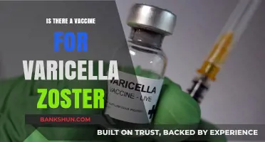 Varicella Zoster Vaccine: Protection, Availability, and What You Need to Know