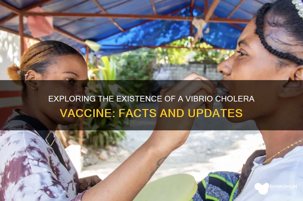 is there a vaccine for vibrio cholera