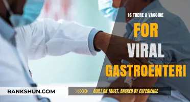 Viral Gastroenteritis Vaccine: Current Status and Prevention Strategies