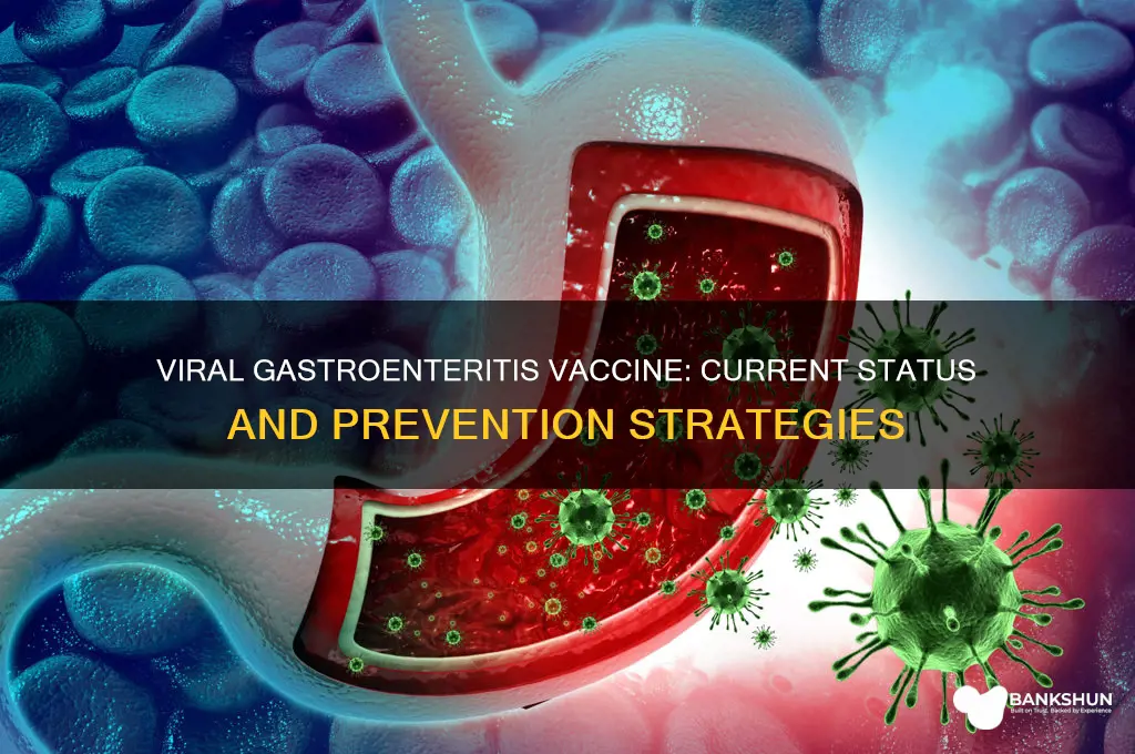 is there a vaccine for viral gastroenteritis