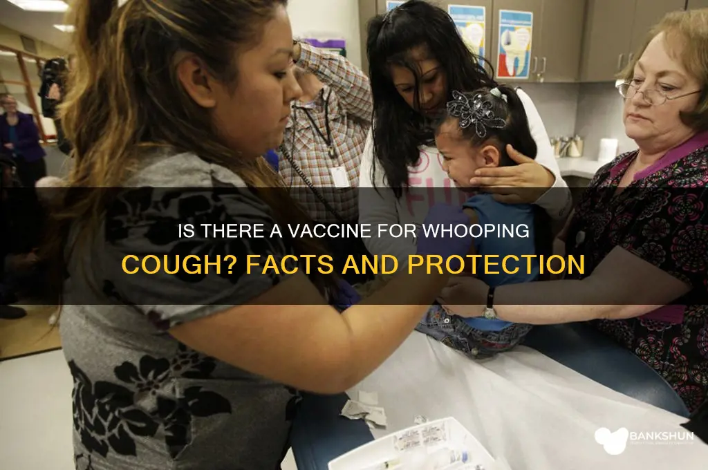 is there a vaccine for whopping cough