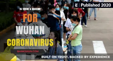 Wuhan Coronavirus Vaccine: Current Status and What You Need to Know