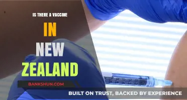 New Zealand's COVID-19 Vaccine Rollout: Availability, Distribution, and Updates