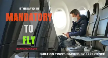 Flying Post-Pandemic: Are COVID-19 Vaccines Mandatory for Air Travel?