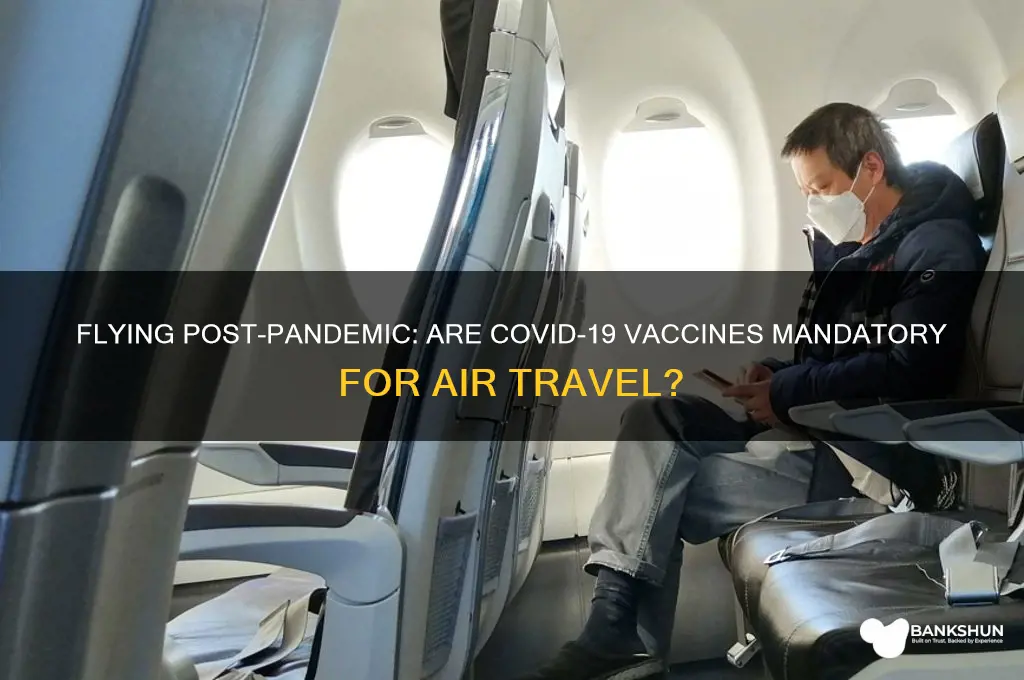 is there a vaccine mandatory to fly