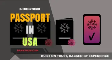 Vaccine Passports in the USA: Current Status and Future Outlook