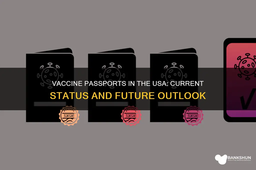 is there a vaccine passport in usa