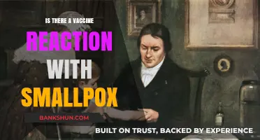 Smallpox Vaccine Reactions: Understanding Symptoms, Risks, and Safety Measures