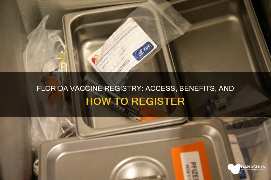 is there a vaccine registry for florida