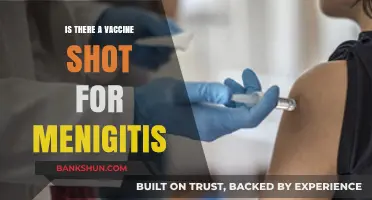 Meningitis Vaccine: What You Need to Know About Prevention Shots